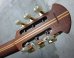 画像5: Ovation USA 1763 Classic '95 