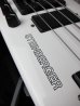 画像4: Steinberger XL-2T White '88