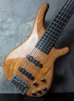 画像8: Tune TBC-5 Exotic Spalted Maple Sp