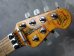 画像2: Music Man EVH Trans Gold