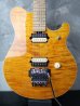 画像1: Music Man EVH Trans Gold (1)