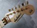 画像2: Jackson USA PC-1 Phil Collen Sustainer Mocha　 (2)
