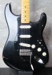 画像1: Fender Custom Shop David Gilmour Stratocaster Relic  (1)