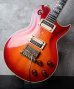 画像8: Aria Pro II PE-120 Custom Edition 1982 (8)