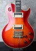 画像1: Aria Pro II PE-120 Custom Edition 1982 (1)