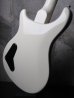 画像7: Paul Reed Smith SE Soapbar II / White