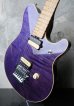 画像4: Music Man EVH Limited Trans Purple 