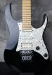 画像1: Ibanez RG Custom / Black (1)