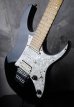 画像4: Ibanez RG Custom / Black