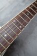 画像6: Takamine PT-106 / Gray Black Burst 