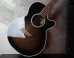 画像9: Takamine PT-106 / Gray Black Burst 