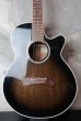 画像1: Takamine PT-106 / Gray Black Burst  (1)