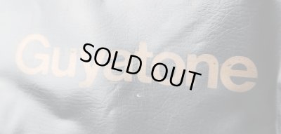 画像9: GUYATONE FLIP-1500 / BASS