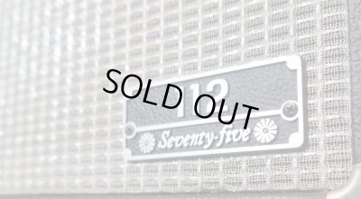 画像3: Music Man Seventy Five / 112 