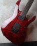 画像8: Jackson USA / Chris Broderik  Soloist 6 / Special Quilted Maple Top / Trans Red