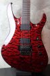 画像1: Jackson USA / Chris Broderik  Soloist 6 / Special Quilted Maple Top / Trans Red (1)