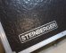 画像1: Steinberger Vintage Tours Case /  for GL  (1)