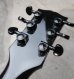 画像8: Gibson USA Les Paul  Joe Perry / Black Burst
