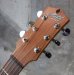 画像2: Maton Guitars  EBG 808 C