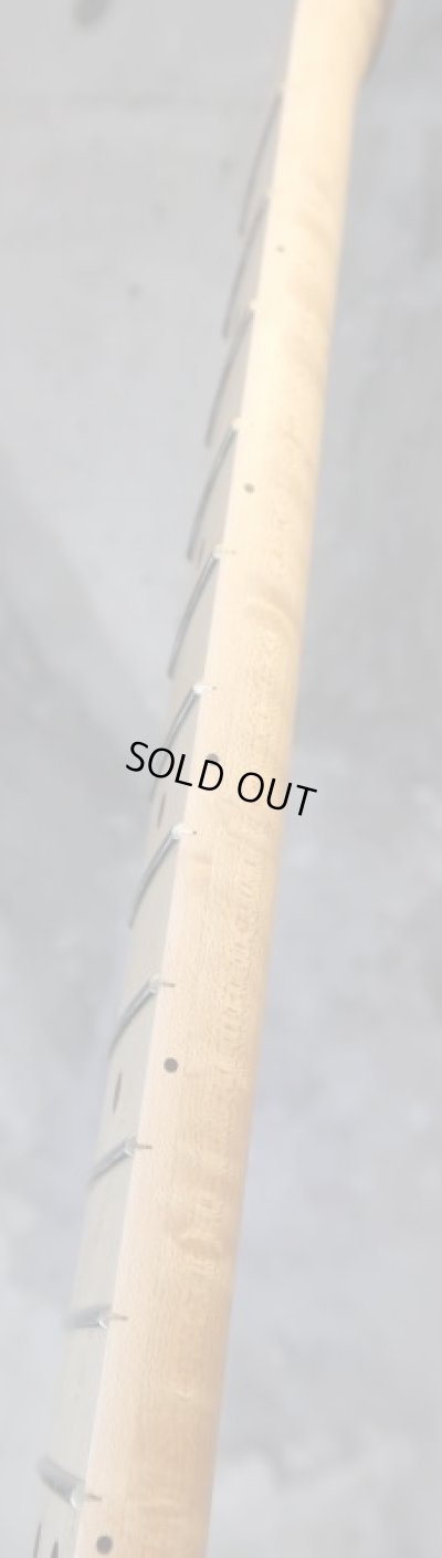 画像14: Warmoth Stratocaster NECK 22 Frets / Birdseye Maple / Left Handed