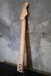 画像15: Warmoth Stratocaster NECK 22 Frets / Birdseye Maple / Left Handed