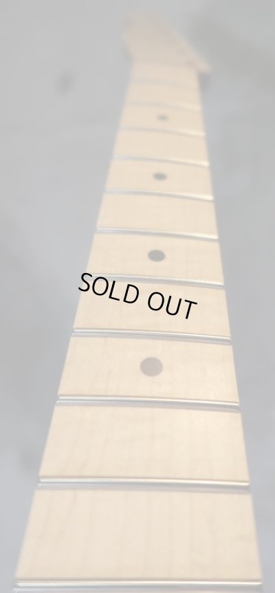 画像13: Warmoth   TELECASTER 22 Frets  Maple Neck / Right Handed Reverse