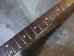 画像6: USACG  US3 Peghead strato ROASTED Quartersawn Maple Neck