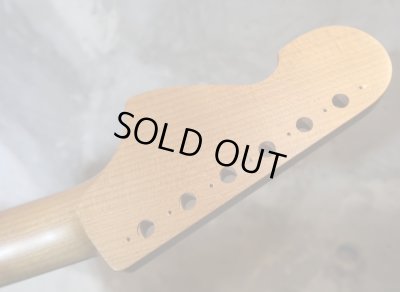 画像5: USACG  US3 Peghead strato ROASTED Quartersawn Maple Neck