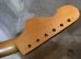 画像5: USACG  US3 Peghead strato ROASTED Quartersawn Maple Neck