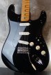 画像1: Fender Custom Shop David Gilmour "NOS"   Stratocaster  (1)