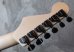 画像6: Jackson Custom Shop Adrian Smith sig San Dimas EB / Snow White