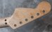 画像4: MusiKraft /  Franky Neck Custom Build / Birdseye Maple 　(1)