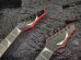 画像4: Dean USA Dave Mustaine Double Neck (4)