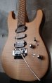 画像10: Charvel USA Guthrie Govan Signature 