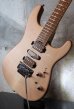 画像5: Charvel USA Guthrie Govan Signature 