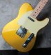 画像11: Fender Custom Shop Danny Gatton Sig. Telecaster  / Frost Gold