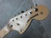 画像3: Fender Custom Shop Robin Trower Stratocaster / Arctic White 