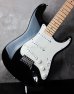 画像10: Fender Custom Shop Robin Trower Stratocaster Black