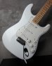 画像11: Fender Custom Shop Robin Trower Stratocaster / Arctic White  (11)