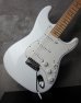 画像11: Fender Custom Shop Robin Trower Stratocaster / Arctic White 