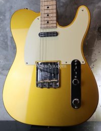 Fender Custom Shop Danny Gatton Sig. Telecaster  / Frost Gold