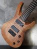 画像12: Jackson USA Select Series B8 Deluxe 8 Strings