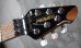 画像2: Peavey USA EVH Wolfgang Trans Red/ Deep Birdseye Maple