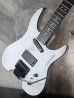 画像5: Steinberger GM-5T / White  EX+++