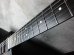 画像5: Steinberger GL-2T / Elite 