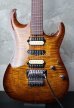 画像9: Suhr Standard Carve Top Light Bengal Burst