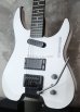 画像9: Steinberger GM-5T / White  EX+++