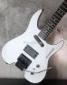 画像12: Steinberger GM-5T / White  EX+++