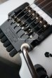 画像16: Steinberger GL-2TA / White