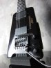 画像2: Steinberger GL-2T / Elite 